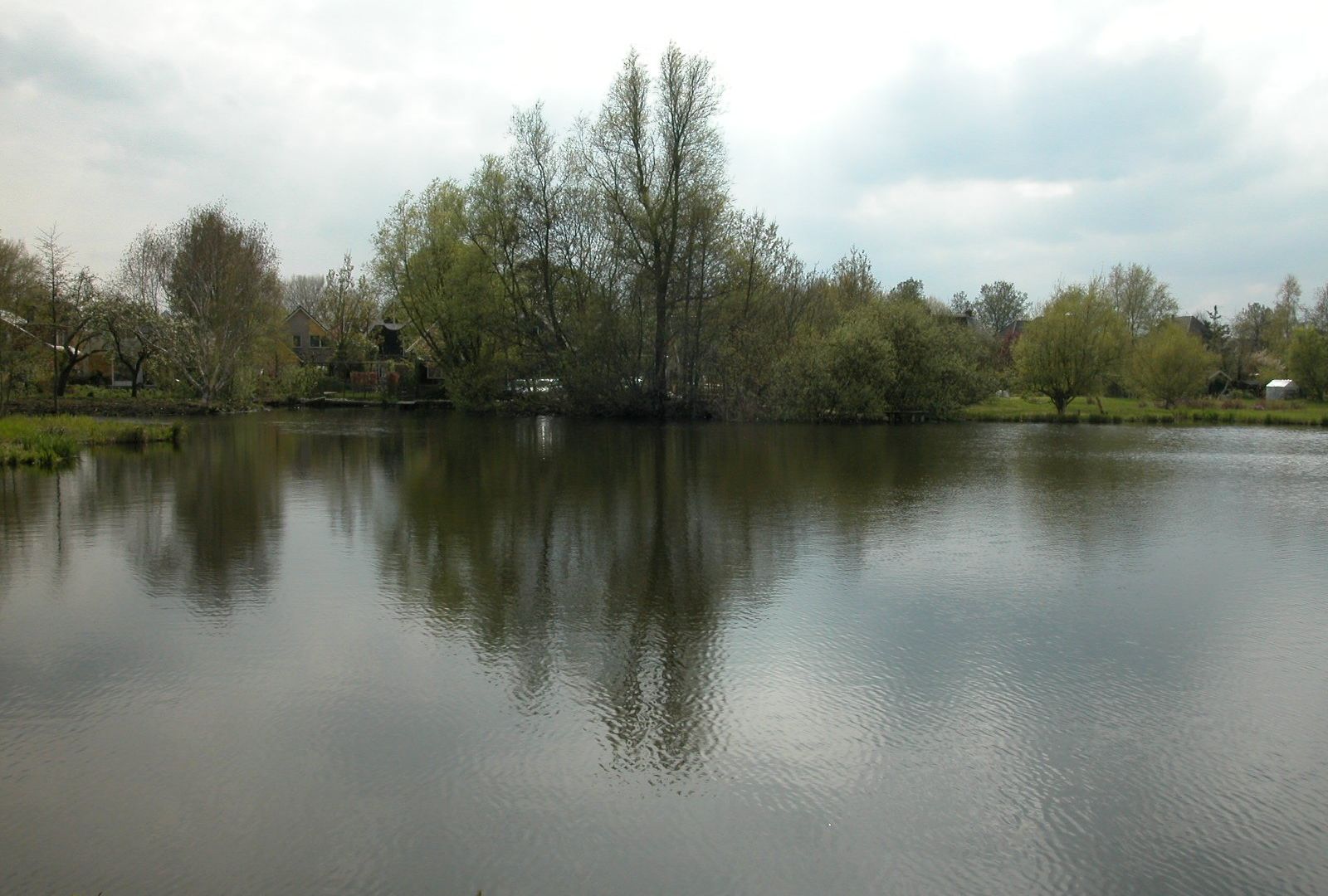 ft443.jpg